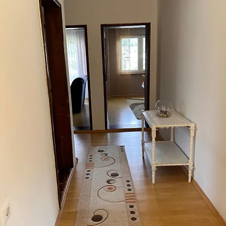 Experience The Local Way